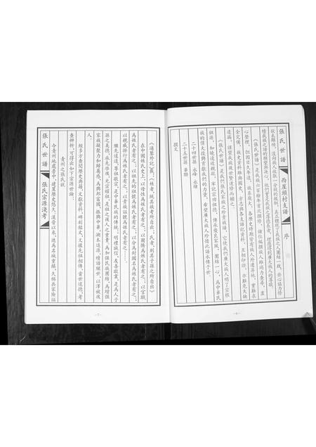山东张氏-张氏世谱.西崖头村支.pdf电子版插图4 山东张氏-张氏世谱.西崖头村支.pdf电子版插图4