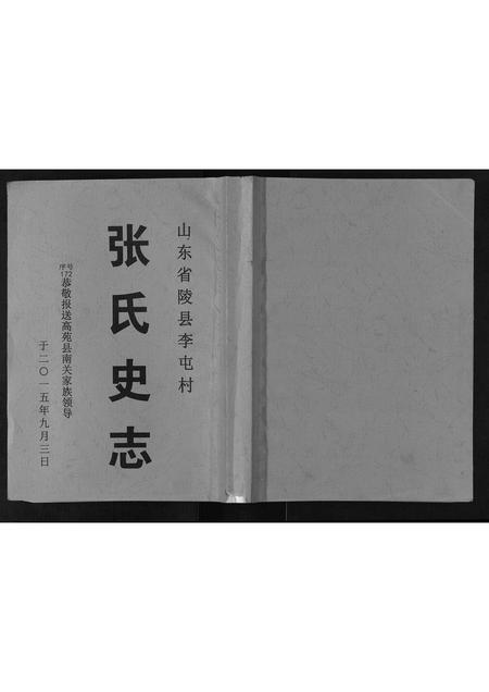 山东张氏-张氏史志.pdf电子版