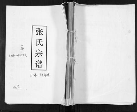 山东张氏-张氏宗谱.pdf电子版