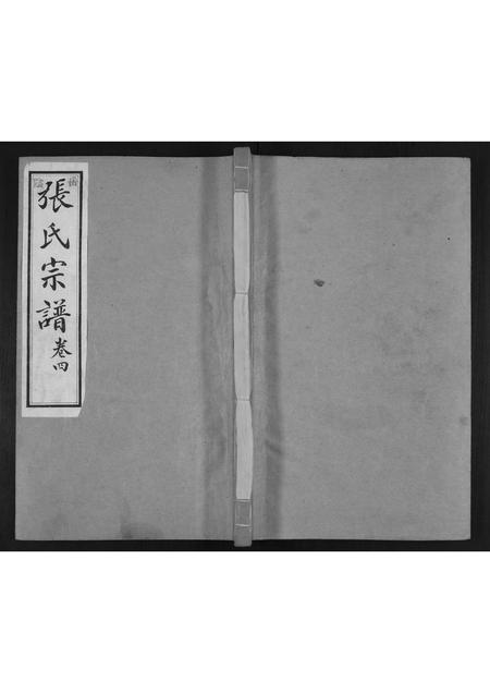 山东张氏-张氏宗谱[4卷].pdf电子版插图