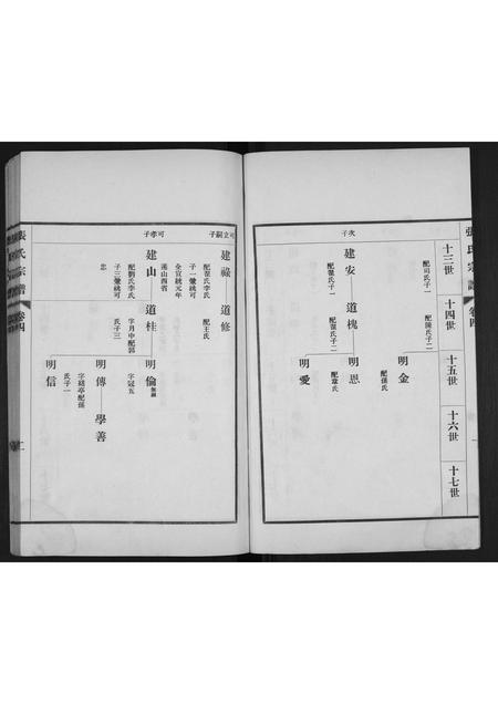 山东张氏-张氏宗谱[4卷].pdf电子版插图2