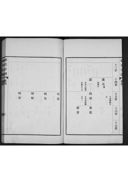山东张氏-张氏宗谱[4卷].pdf电子版插图3