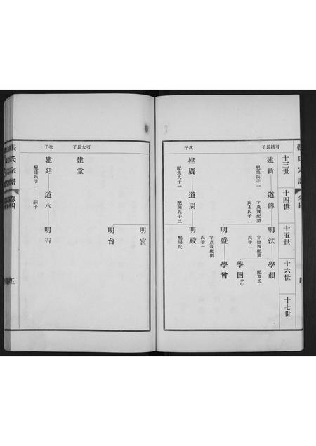 山东张氏-张氏宗谱[4卷].pdf电子版插图5