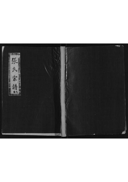 山东张氏-张氏宗谱[9卷].pdf电子版插图