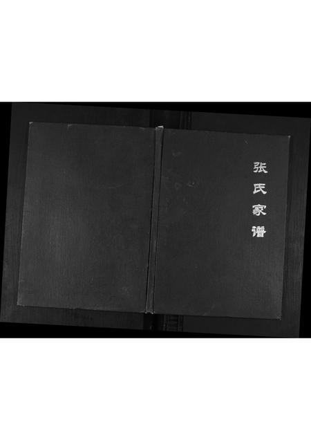 山东张氏-张氏家谱.pdf电子版