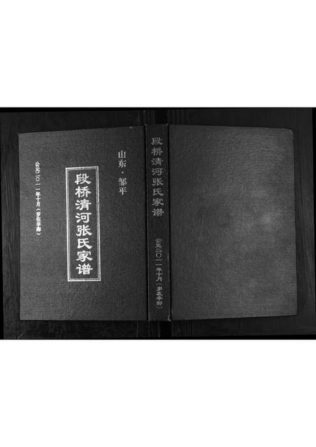 山东张氏-张氏家谱.pdf电子版