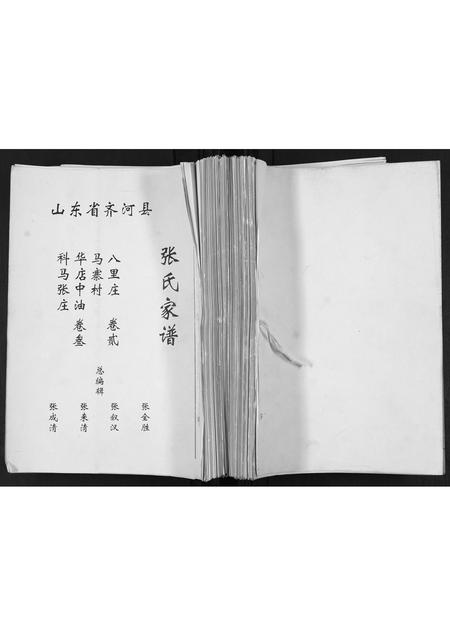 山东张氏-张氏家谱.pdf电子版