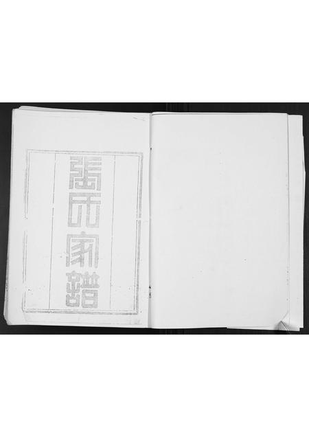 山东张氏-张氏家谱.pdf电子版插图4 山东张氏-张氏家谱.pdf电子版插图4