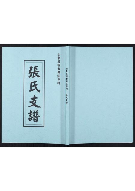 山东张氏-张氏支谱[不分卷].pdf电子版插图