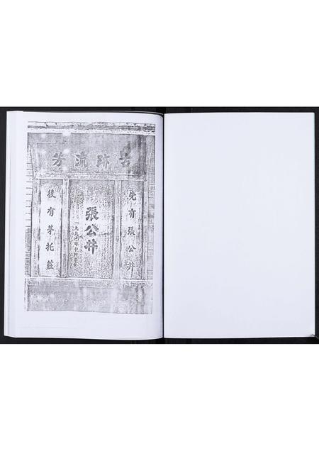 山东张氏-张氏支谱[不分卷].pdf电子版插图2