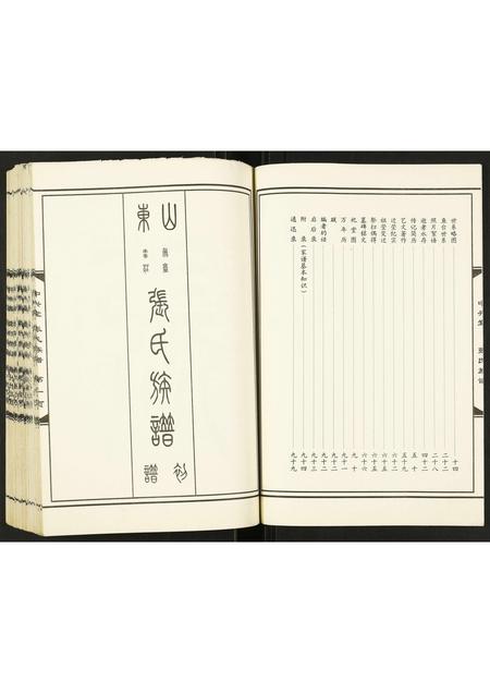 山东张氏-张氏族谱.pdf电子版插图3 山东张氏-张氏族谱.pdf电子版插图3