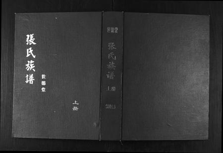 山东张氏-张氏族谱.pdf电子版