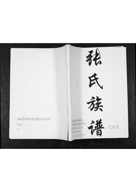 山东张氏-张氏族谱.pdf电子版