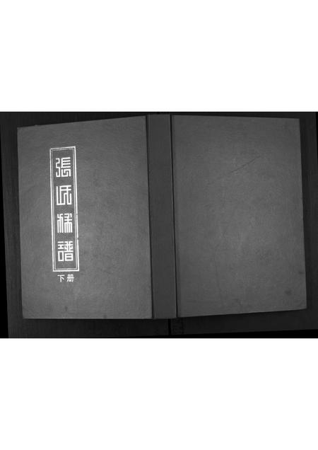 山东张氏-张氏族谱.pdf电子版