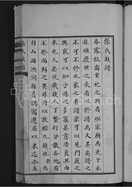 山东张氏-张氏族谱 [不分卷].pdf电子版插图3