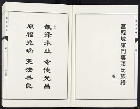 山东张氏-张氏族谱[10卷].pdf电子版插图2