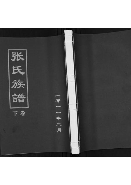 山东张氏-张氏族谱[2卷].pdf电子版插图