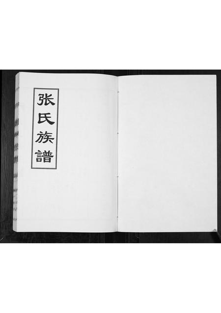 山东张氏-张氏族谱[2卷].pdf电子版插图1