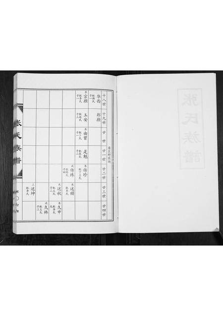 山东张氏-张氏族谱[2卷].pdf电子版插图2