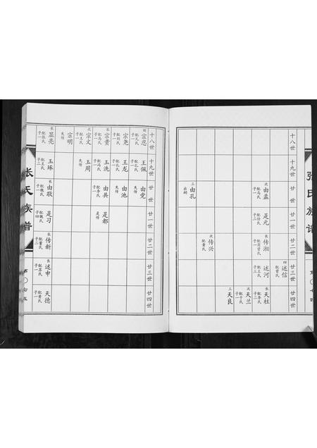 山东张氏-张氏族谱[2卷].pdf电子版插图3