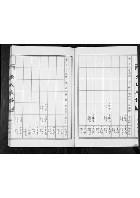山东张氏-张氏族谱[2卷].pdf电子版插图4