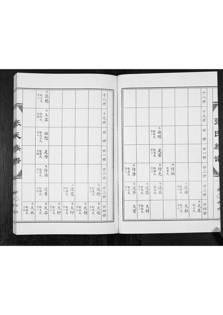 山东张氏-张氏族谱[2卷].pdf电子版插图5