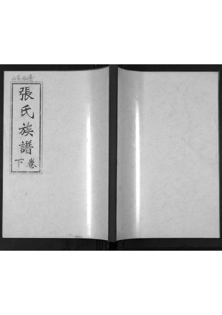 山东张氏-张氏族谱[2卷].pdf电子版插图