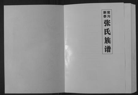 山东张氏-新泰窑沟张氏族谱.pdf电子版插图1