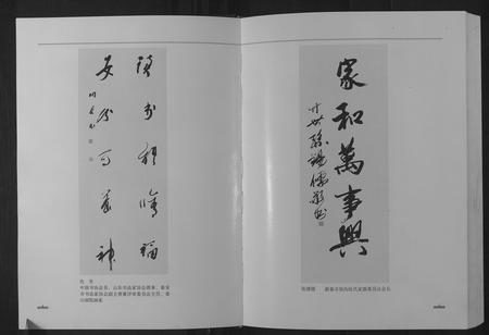 山东张氏-新泰窑沟张氏族谱.pdf电子版插图5
