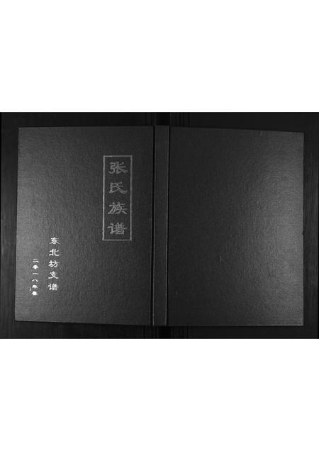 山东张氏-东北坊张氏族谱.pdf电子版插图