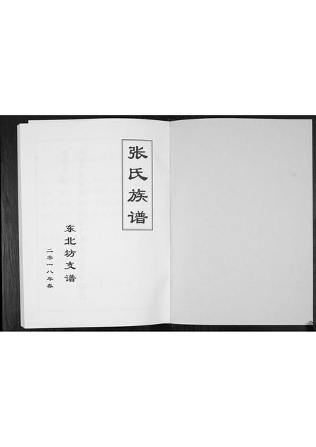 山东张氏-东北坊张氏族谱.pdf电子版插图1