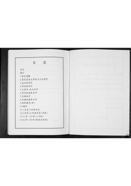 山东张氏-东北坊张氏族谱.pdf电子版插图3
