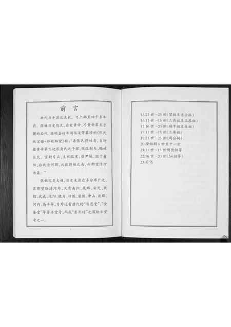 山东张氏-东北坊张氏族谱.pdf电子版插图4