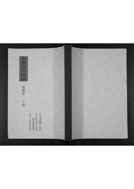 山东张氏-东原张氏族谱[2卷].pdf电子版插图