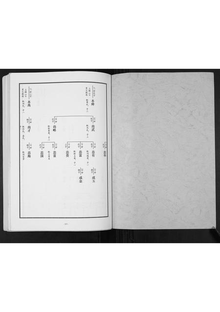 山东张氏-东原张氏族谱[2卷].pdf电子版插图1