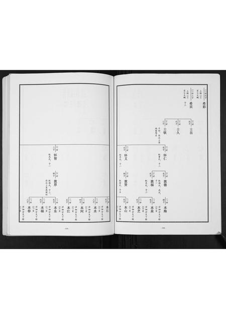 山东张氏-东原张氏族谱[2卷].pdf电子版插图2