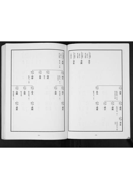 山东张氏-东原张氏族谱[2卷].pdf电子版插图5