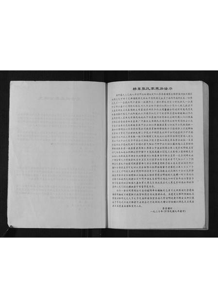 山东张氏-桥东张氏家乘.pdf电子版插图3