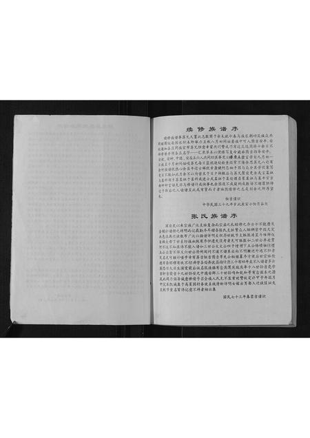 山东张氏-桥东张氏家乘.pdf电子版插图4