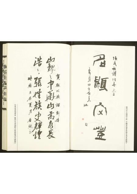 山东张氏-黄金坡张氏族谱.pdf电子版插图2