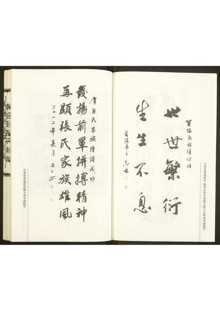 山东张氏-黄金坡张氏族谱.pdf电子版插图3