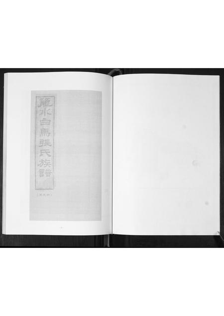 山东张氏-龙水白马张氏族谱.pdf电子版插图2