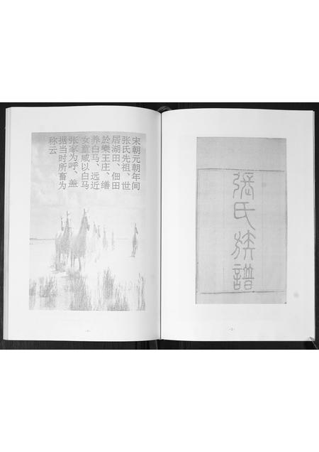 山东张氏-龙水白马张氏族谱.pdf电子版插图3