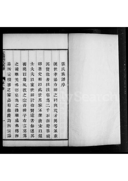 山西张氏-定阳张氏族谱 [4卷].pdf电子版插图4