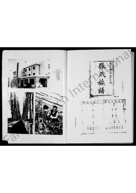 山西张氏-张氏族谱.pdf电子版插图4