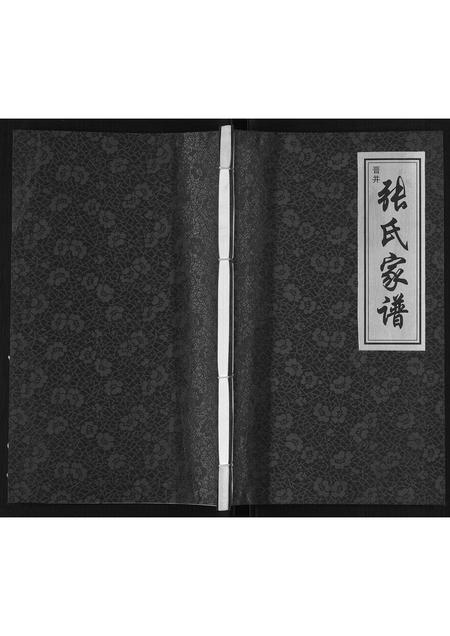 山西张氏-张氏族谱[不分卷].pdf电子版插图