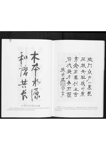 山西张氏-庆余村张氏族谱.pdf电子版插图3 山西张氏-庆余村张氏族谱.pdf电子版插图3