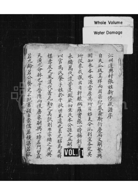 山西张氏-沁州道兴村张姓新修族谱.pdf电子版插图