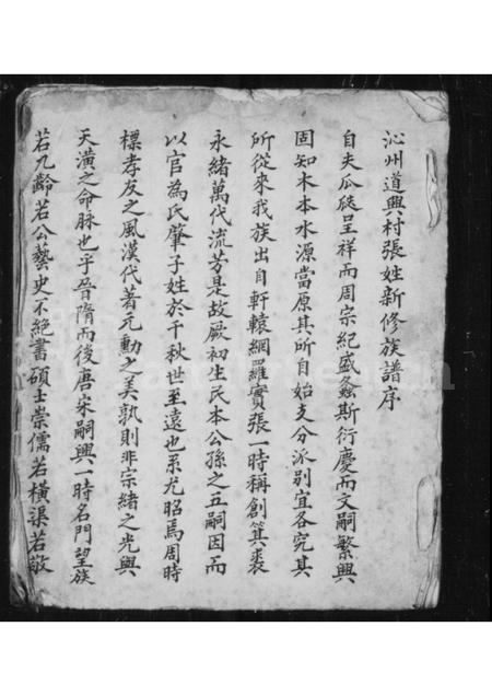 山西张氏-沁州道兴村张姓新修族谱.pdf电子版插图1