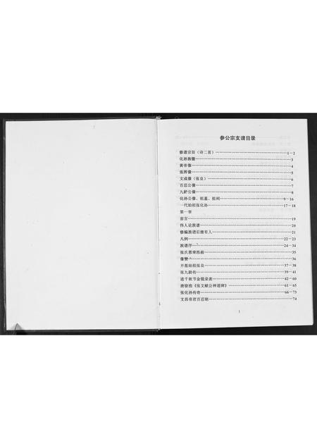 广西张氏-广西省玉林贵港张化孙参公宗支谱.pdf电子版插图1